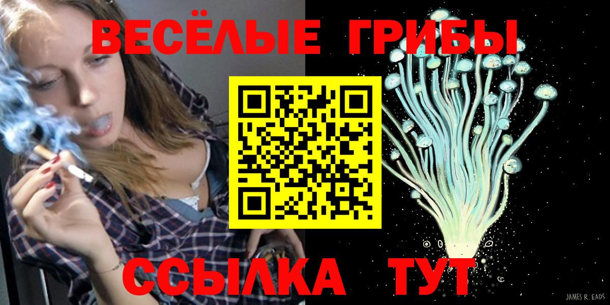 Галлюциногенные грибы мухоморы  Вход с VPN  Тельмана 