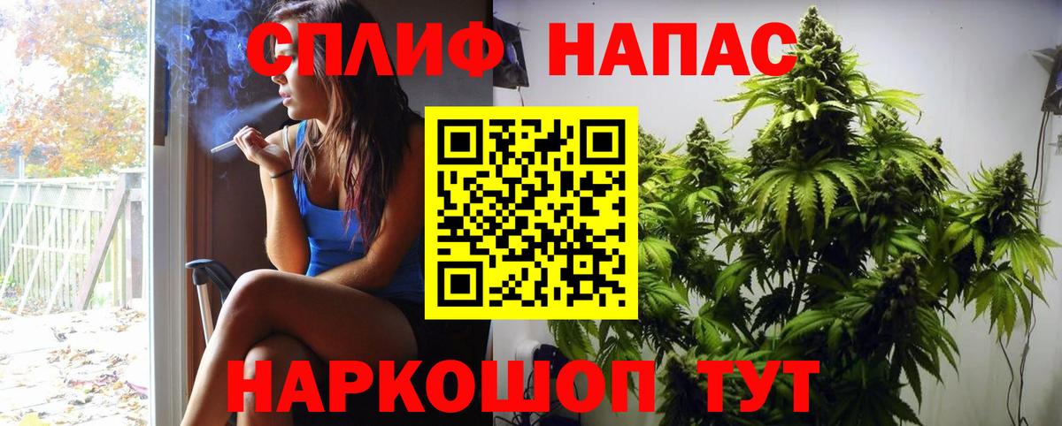 Канабис индика Тельмана